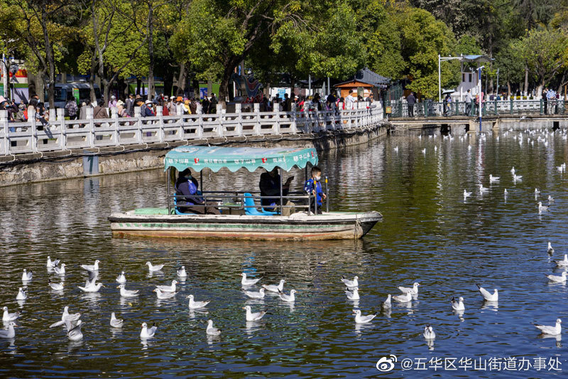 五华区华山街道办事处