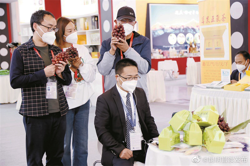 聚焦南博会 | 线上线下共同发力 怒江农特产品走俏南博会