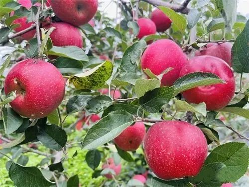 昆明文旅