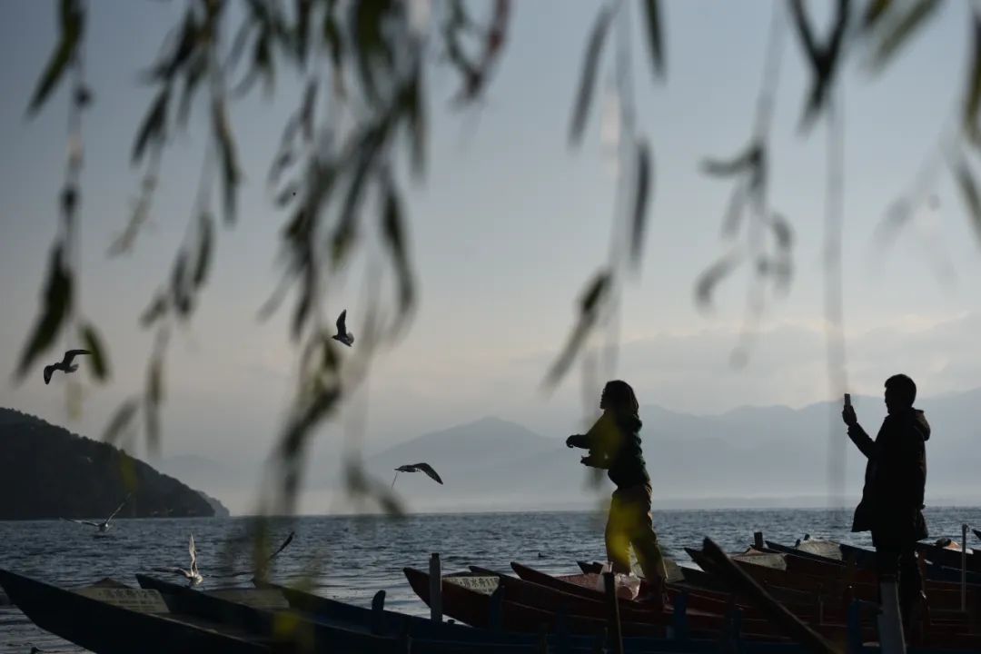 丽江日报