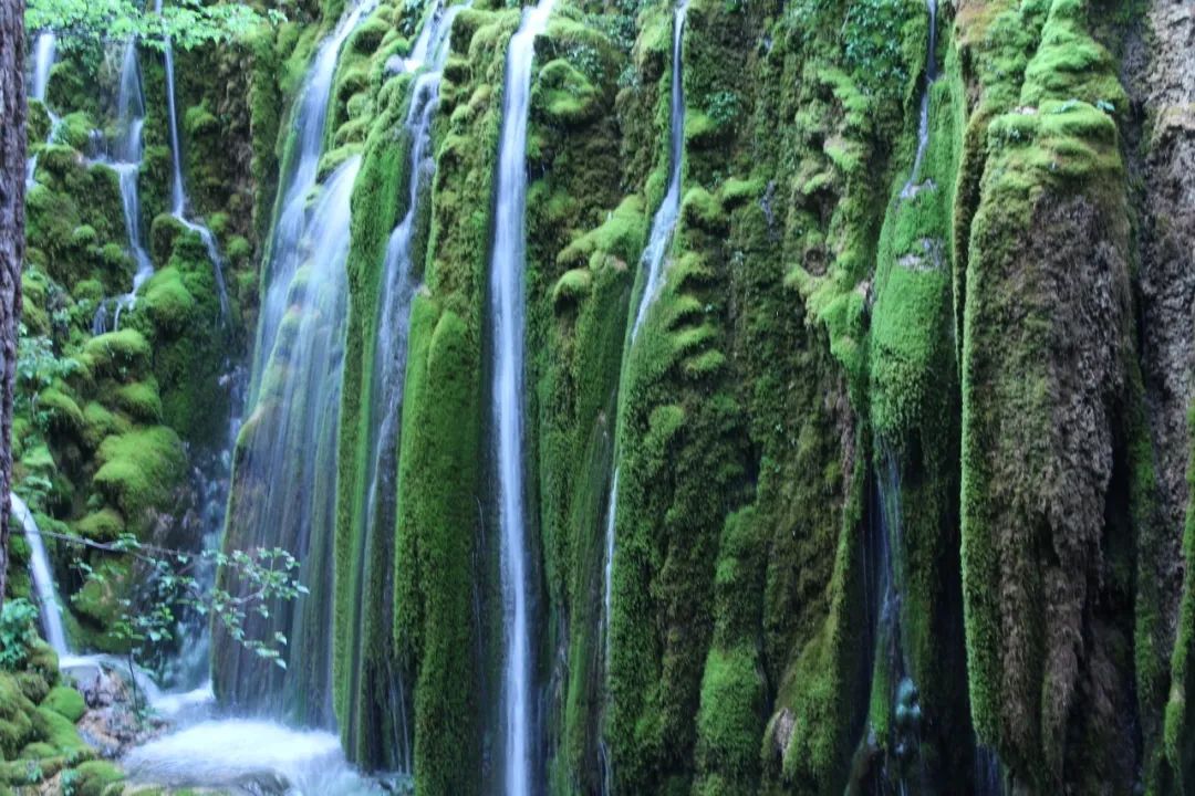 一部手机游云南