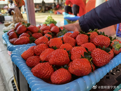昆明晋宁发布