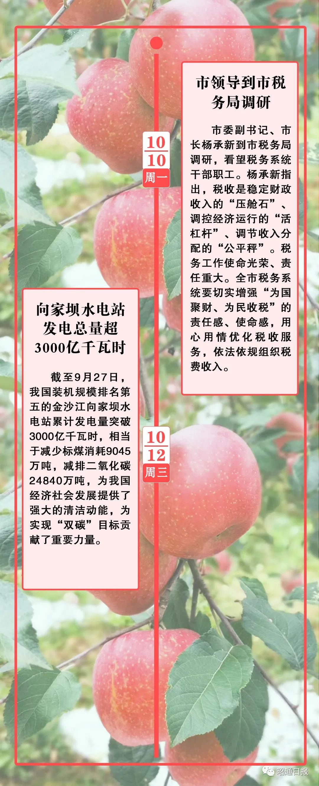 昭通日报