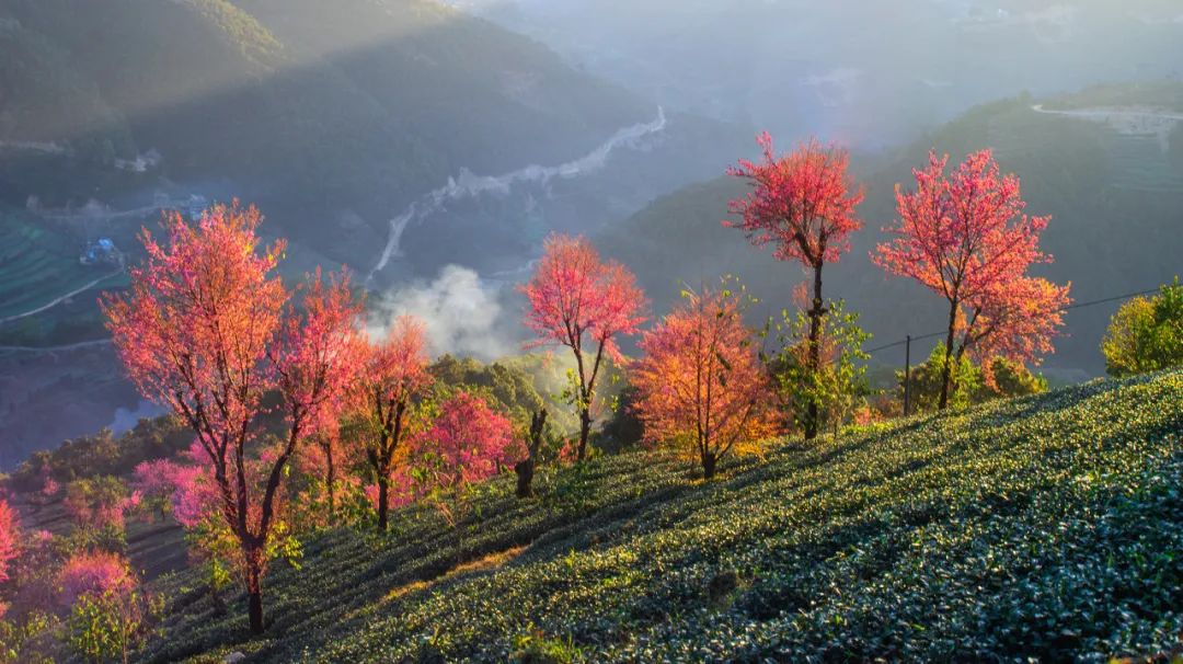 一部手机游云南