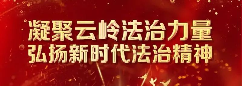 云南法制报