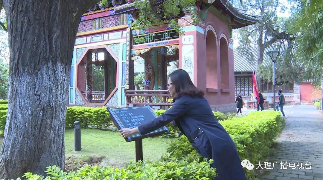 大理电视台