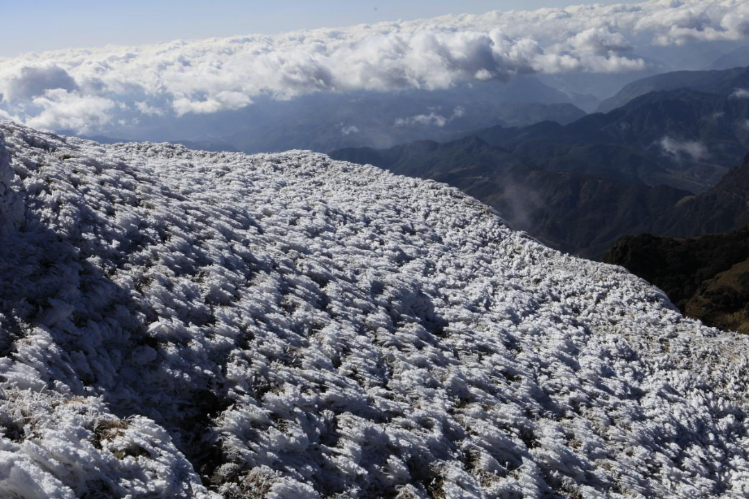 昆明轿子山旅游