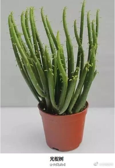 “云南发布”微博