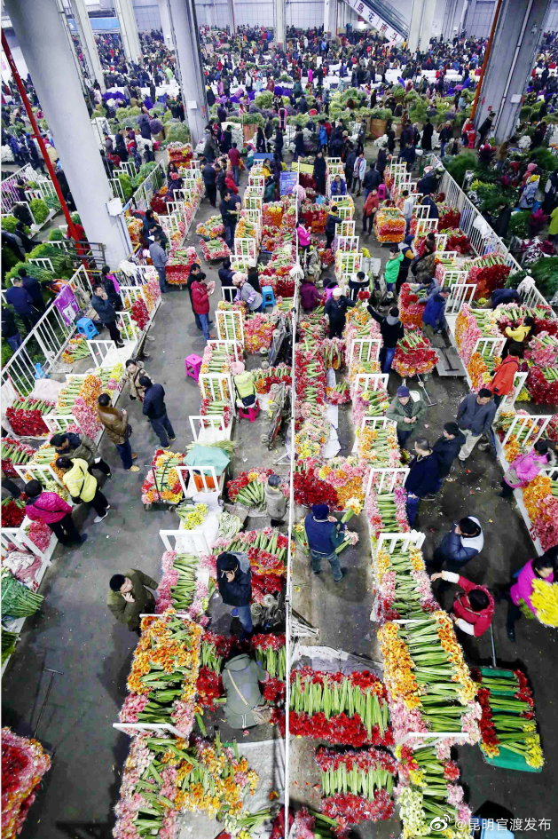 “昆明官渡发布”微博