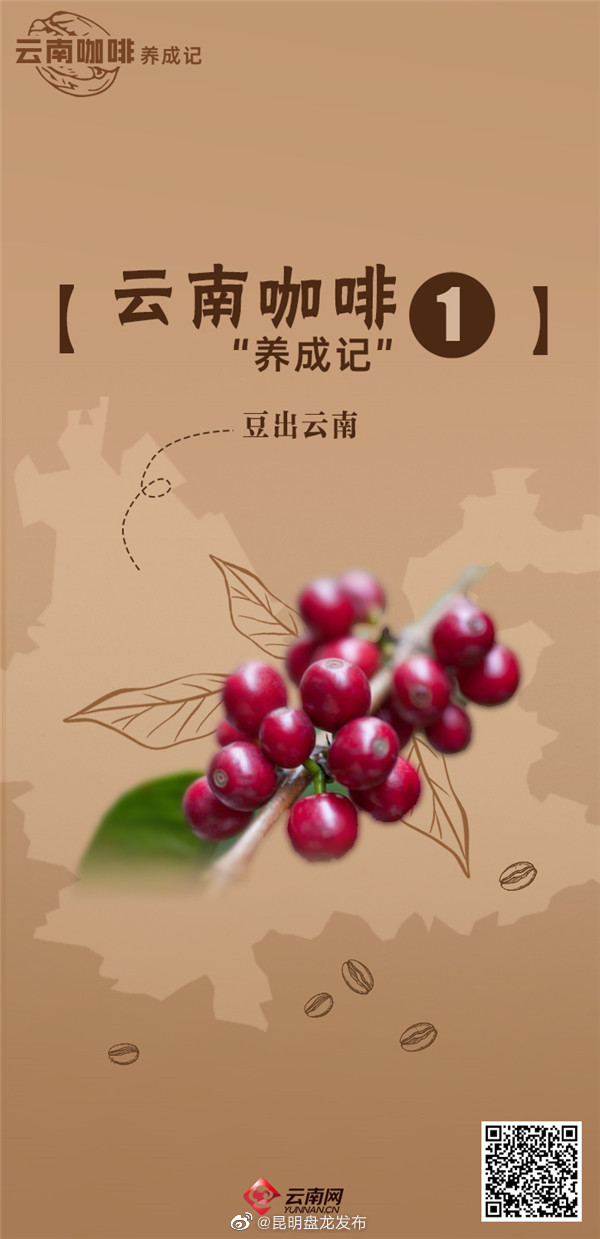 昆明盘龙发布