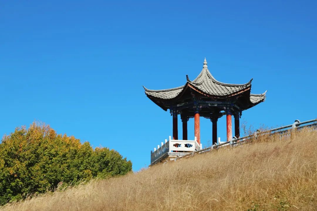 云南省文化和旅游厅