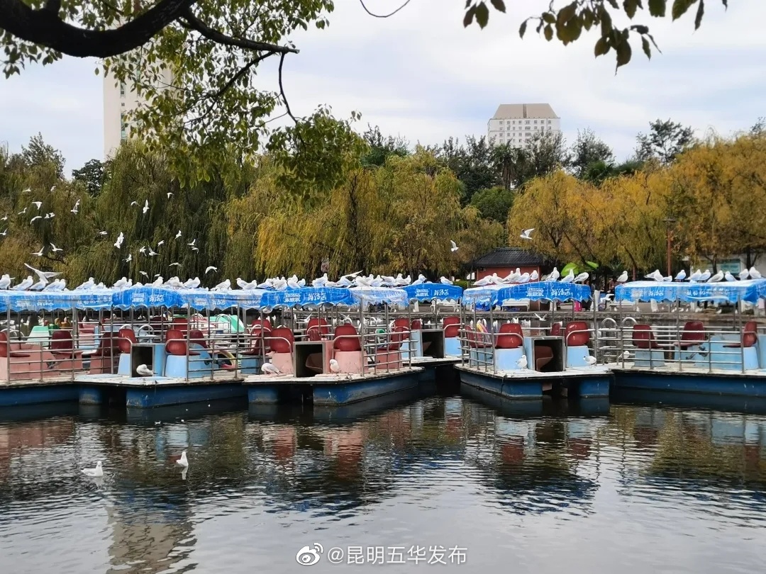 “昆明五华发布”微博