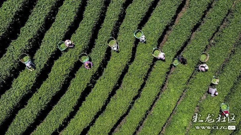 昆明信息港/cnkmxxg