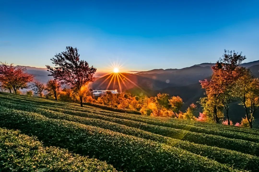 一部手机游云南