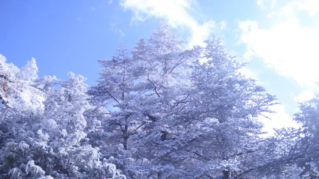 昆明轿子山旅游