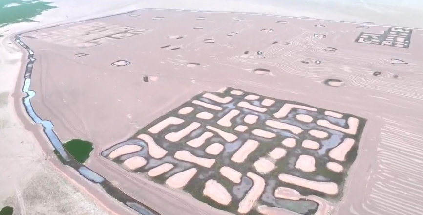 昆明信息港/cnkmxxg