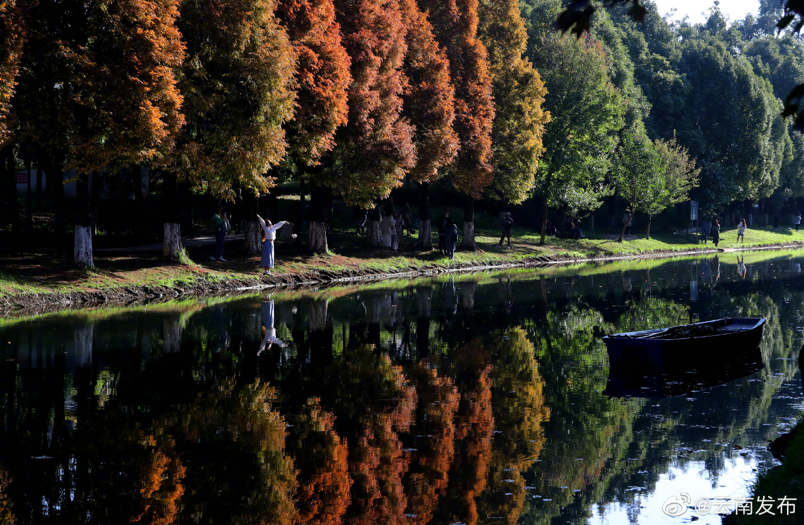 “云南发布”微博