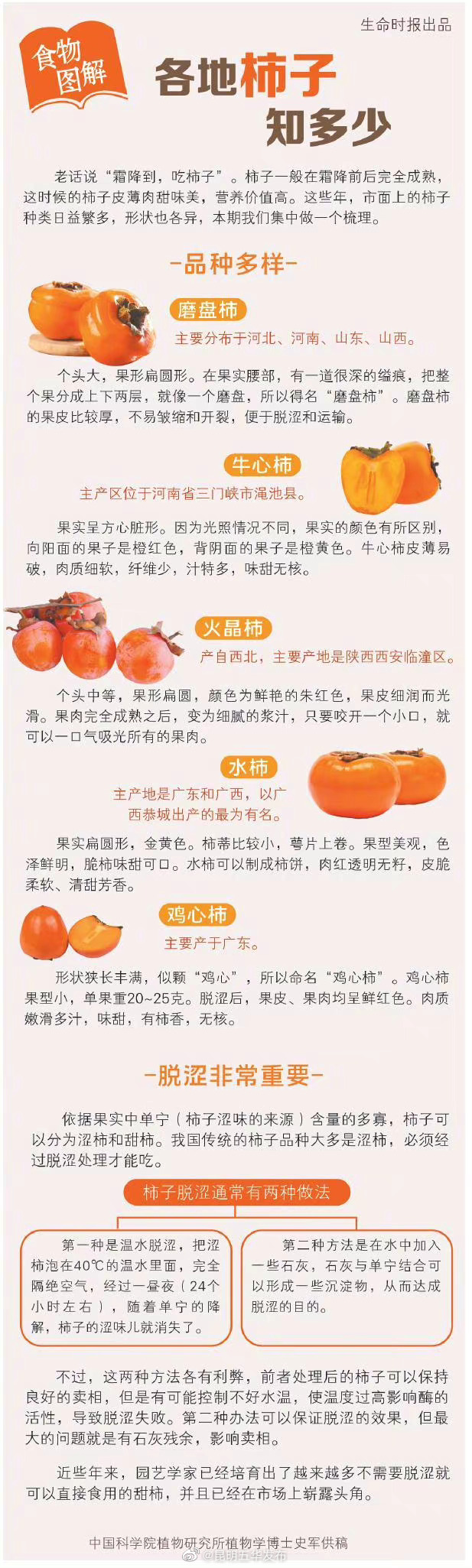 一张图看清5种柿子区别