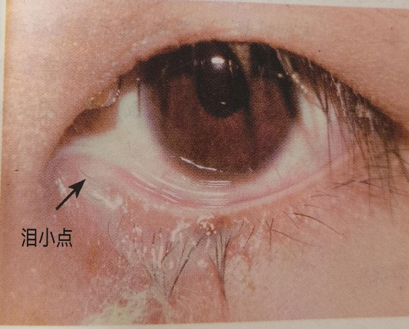 云南省中医医院