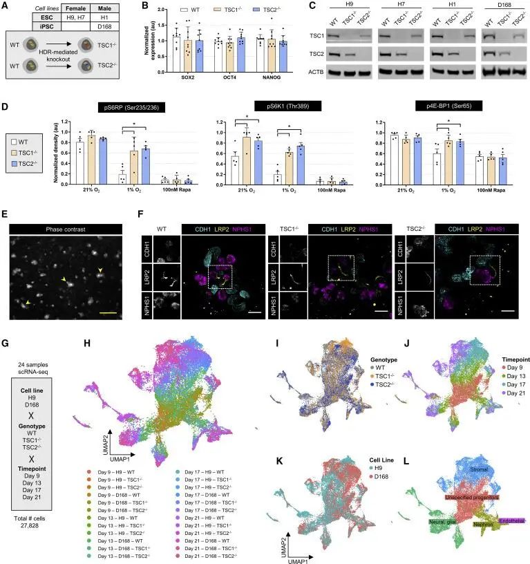 昆明国家高新区发布