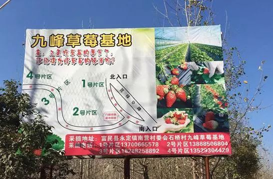 一部手机游云南