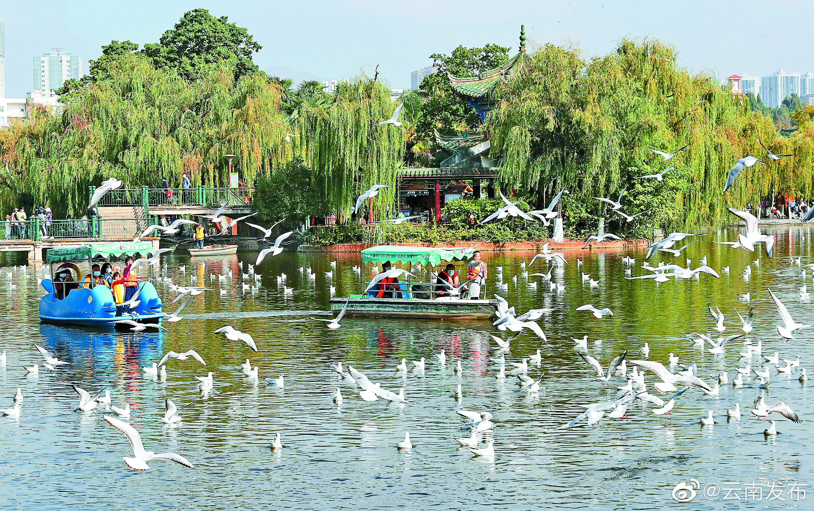 “云南发布”微博