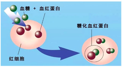 昆明市第一人民医院
