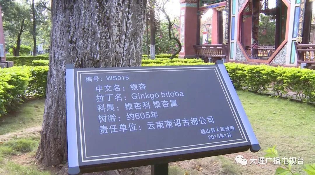 大理电视台