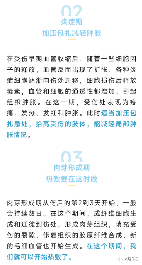 大理日报
