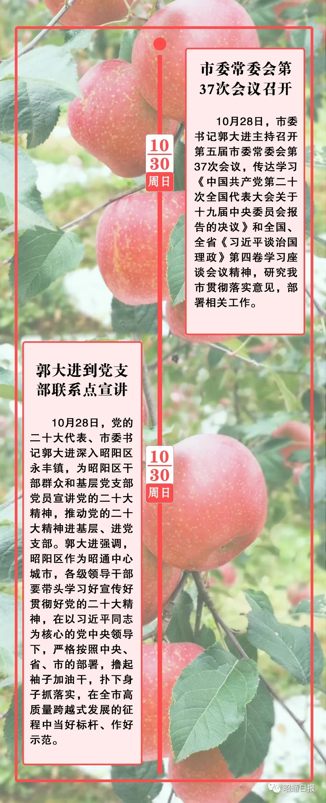昭通日报
