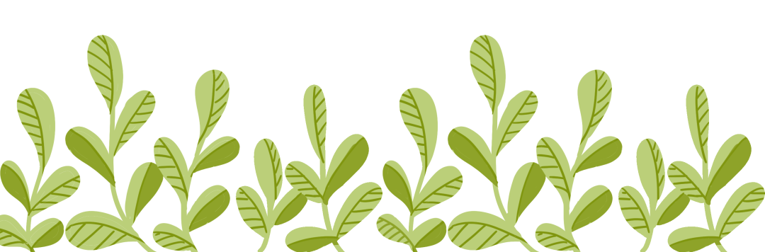 云南野生动物园