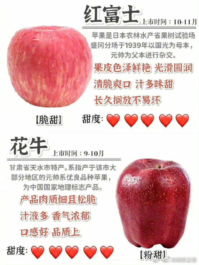 嵩明发布