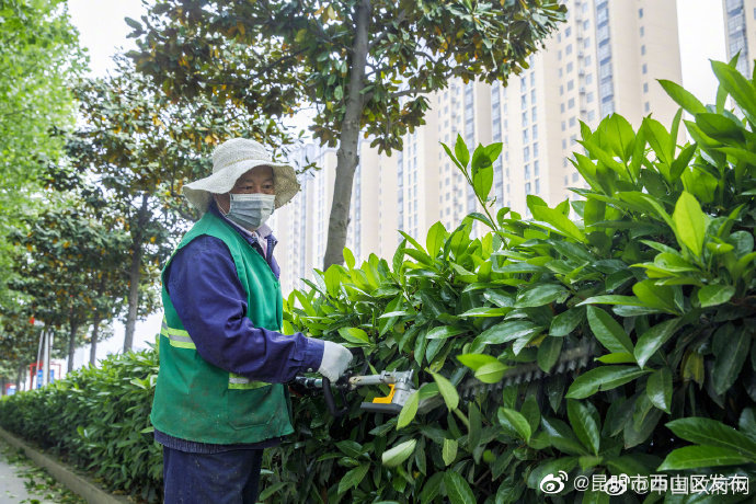 住房和城乡建设部办公厅关于开展城市园林绿化垃圾处理和资源化利用试点工作的通知