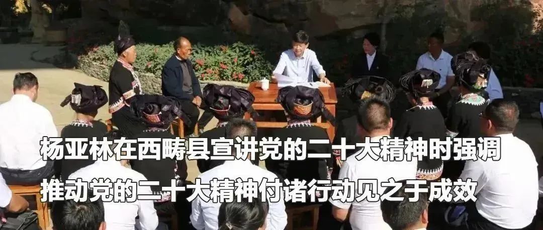 云南政法