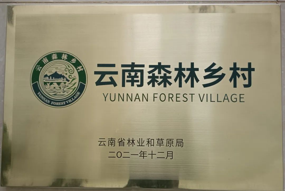玉溪发布