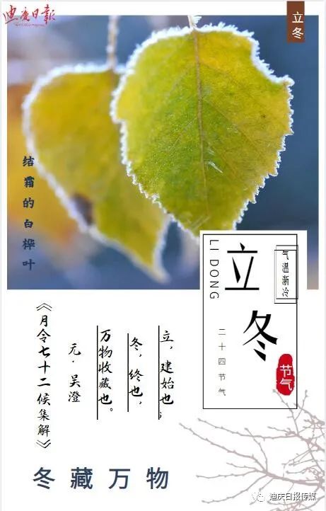 迪庆日报传媒