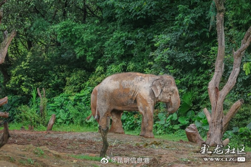 昆明信息港