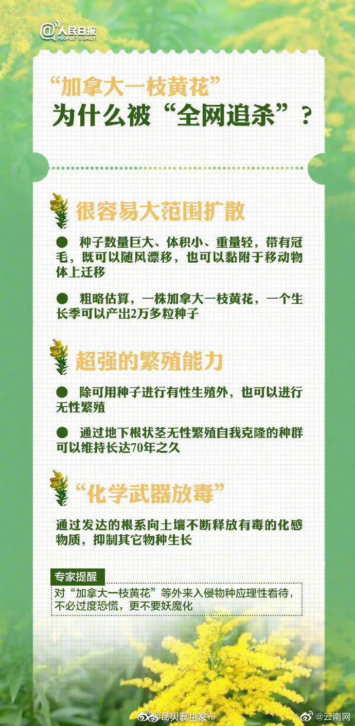 “昆明五华发布”微博