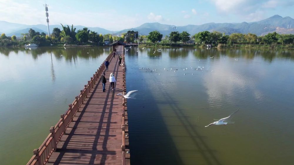 云南省文化和旅游厅