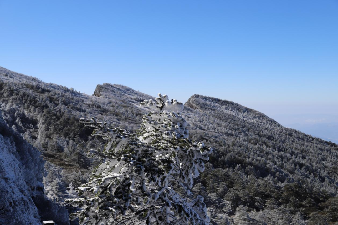 昆明轿子山旅游