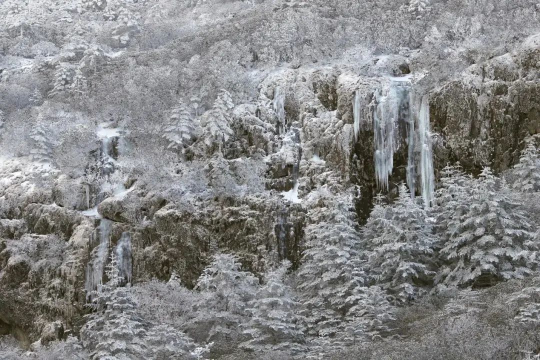 昆明轿子山旅游