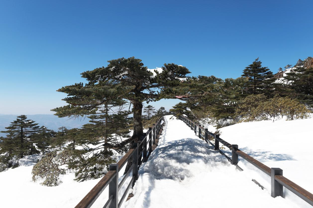 昆明轿子山旅游