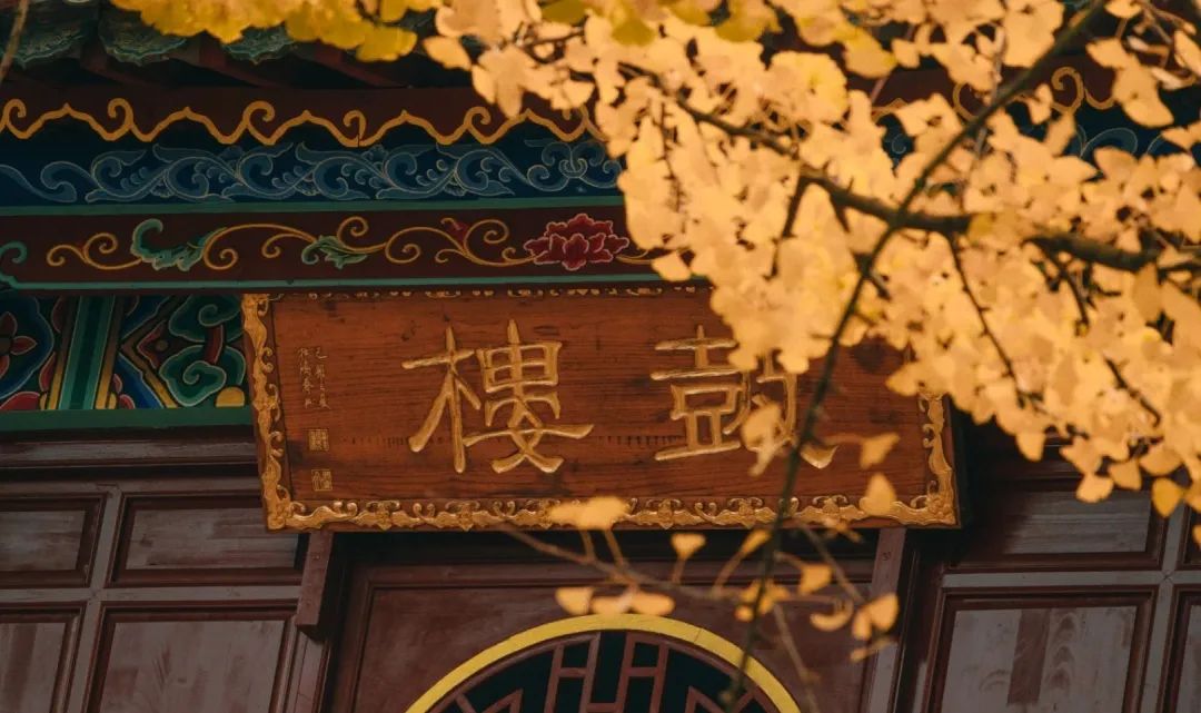 昆明公共文化云