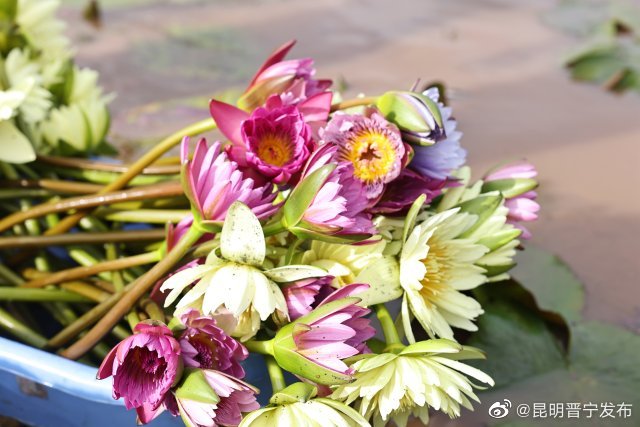 昆明晋宁发布