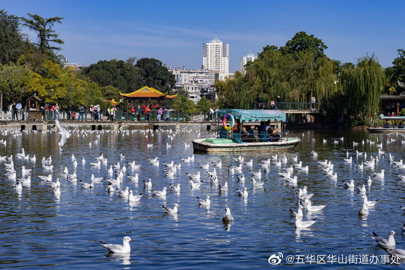 五华区华山街道办事处