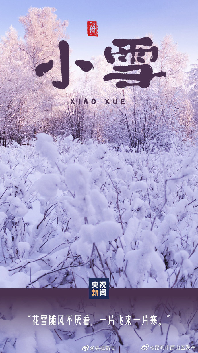 昆明市西山区发布