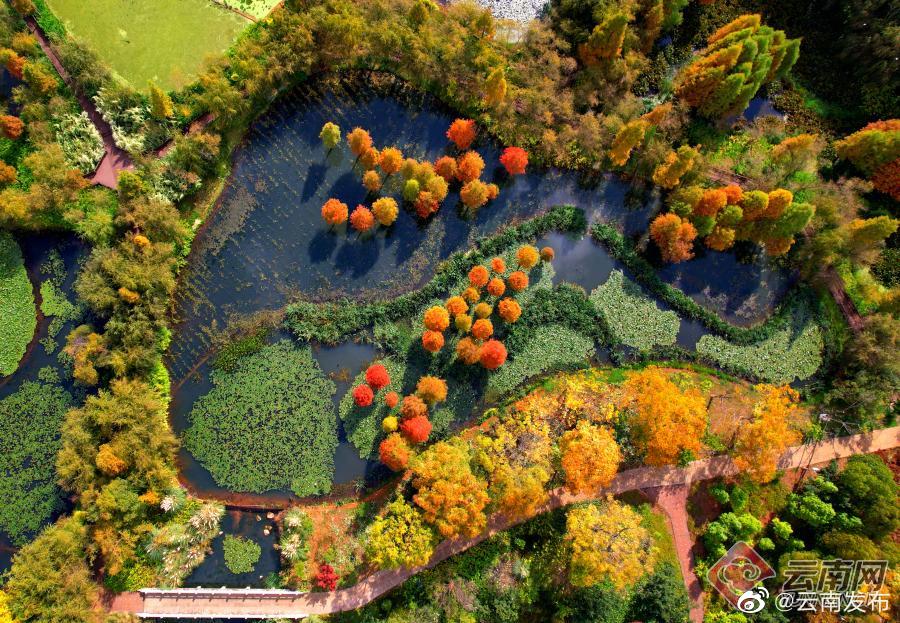 “云南发布”微博