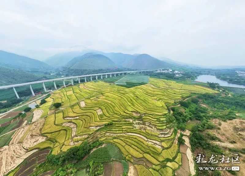 昆明信息港/cnkmxxg