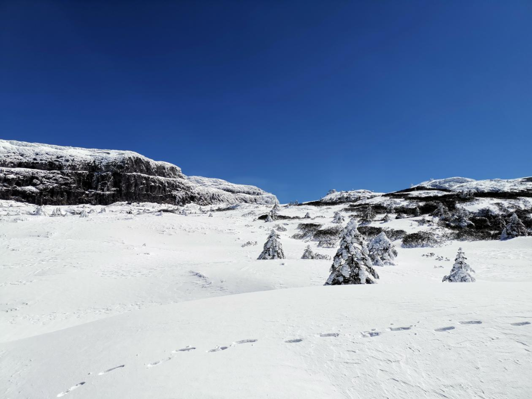 昆明轿子山旅游