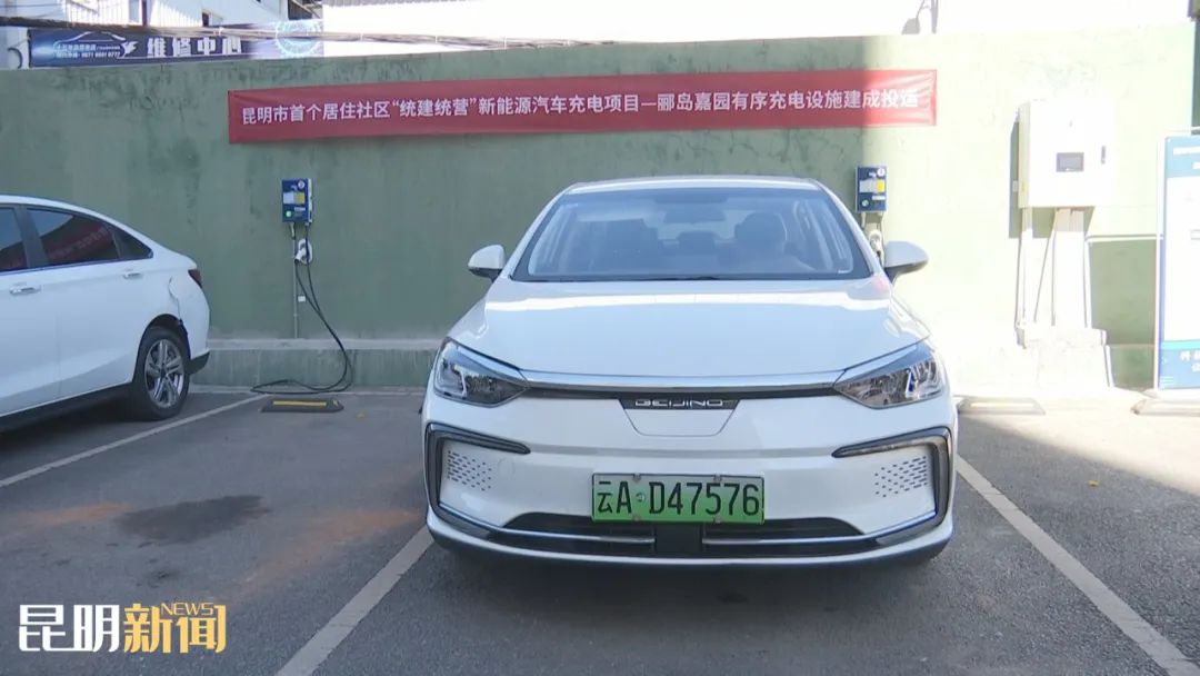 微观盘龙